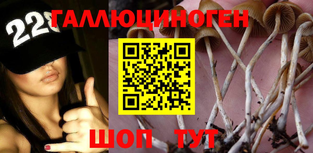 Москва  Галлюциногенные грибы ЛСД  Вход с VPN 